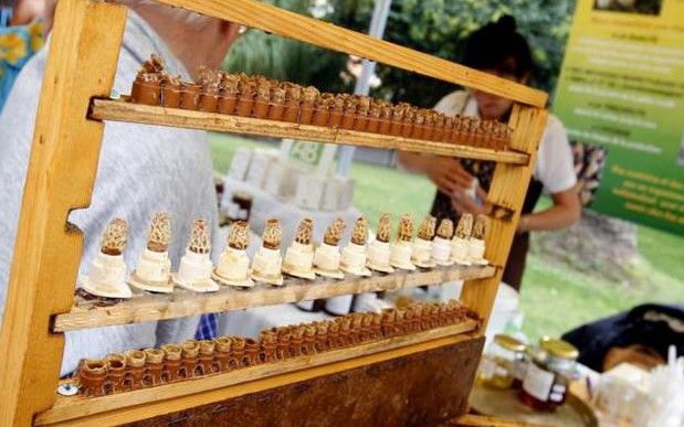 Nice - 7e Édition de la Fête du miel 