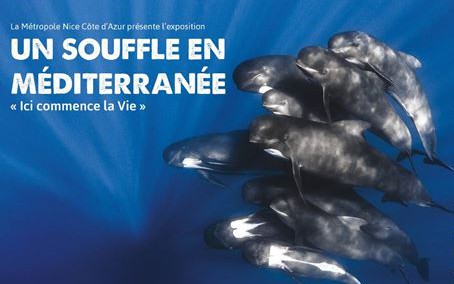 Nice - EXPO UN SOUFFLE EN MÉDITERRANÉE 