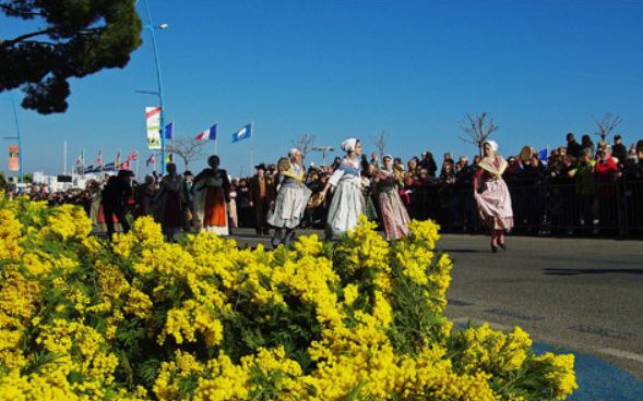 Nice - FÊTE DU MIMOSA