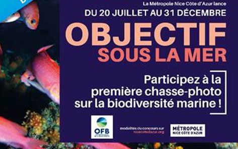 Nice - CONCOURS PHOTO \
