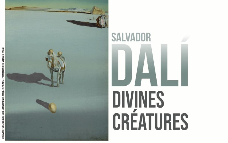 Nice - EXPO SALVADOR DALI – DIVINES CRÉATURES