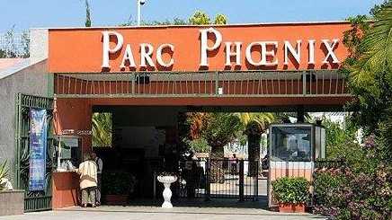 Nice - Parc Floral Phoenix