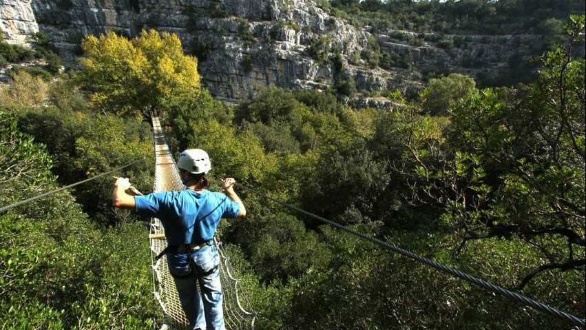 Nice - Canyon Forest