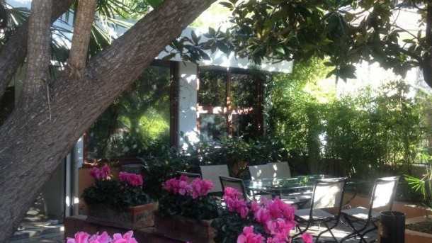 Nice - Les Palmiers