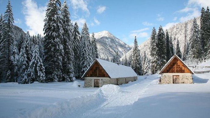 Nice - Les loups du Mercantour