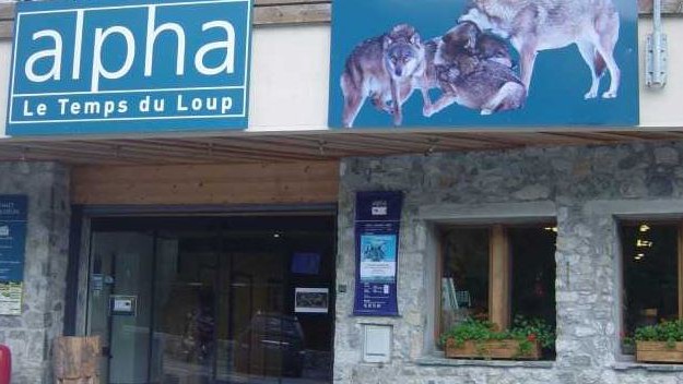Nice - Les loups du Mercantour
