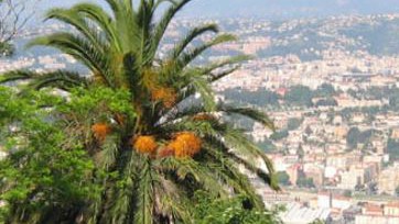 Nice - Parc du Vinaigrier