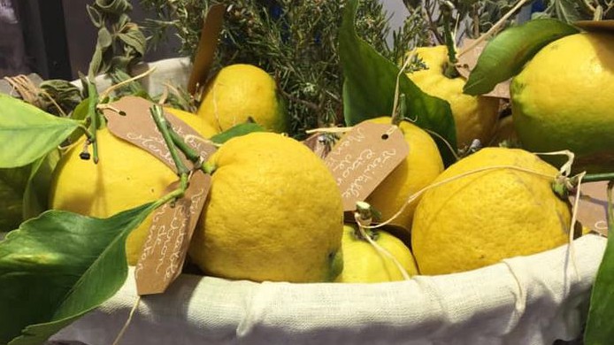 Nice - CITRON D'AZUR