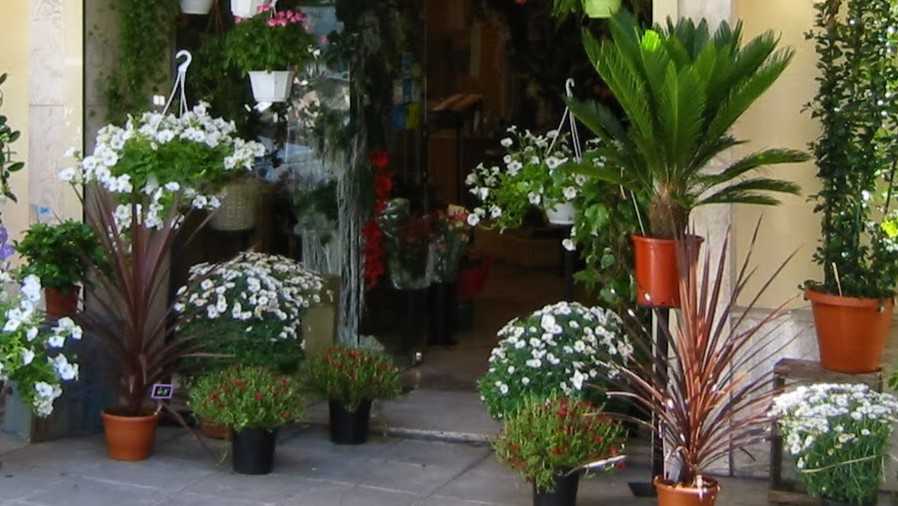Nice - Shopping Flor