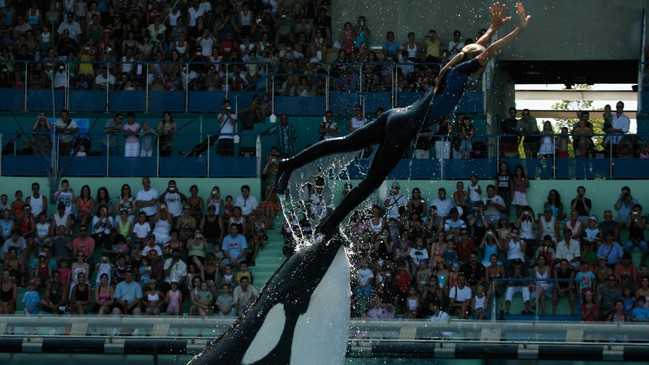 Nice - Marineland Côte d'Azur