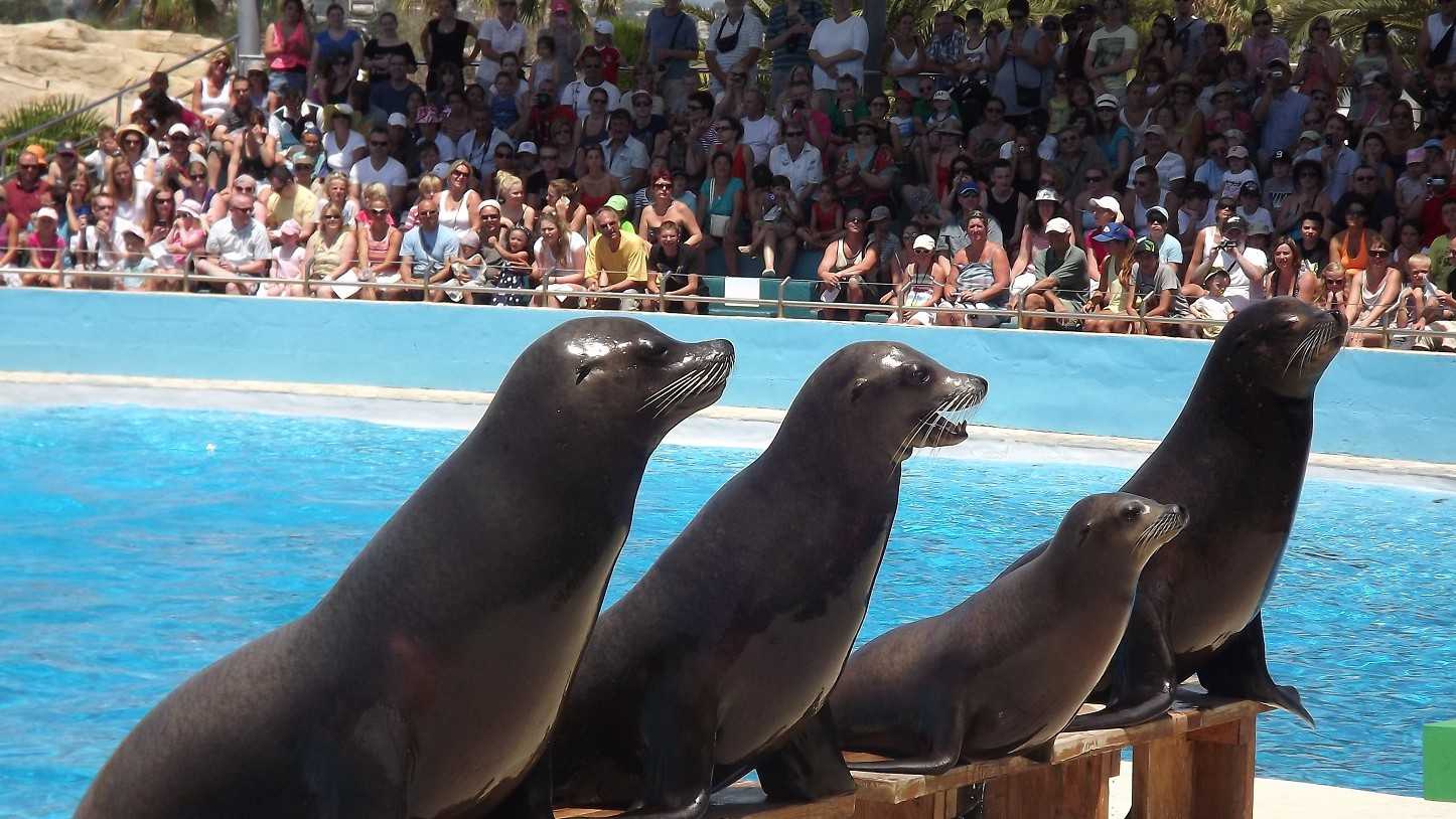 Nice - Marineland Côte d'Azur