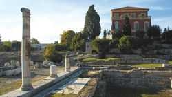 Musée d'Archéologie de Nice 