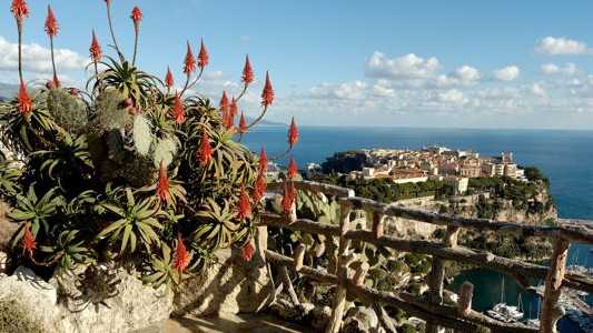 Nice - Jardin Exotique de Monaco