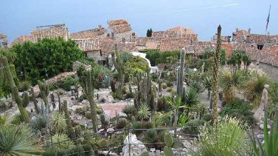 Nice - Jardin Exotique d'Eze