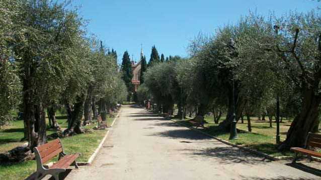 Nice - Parc des Arènes de Cimiez