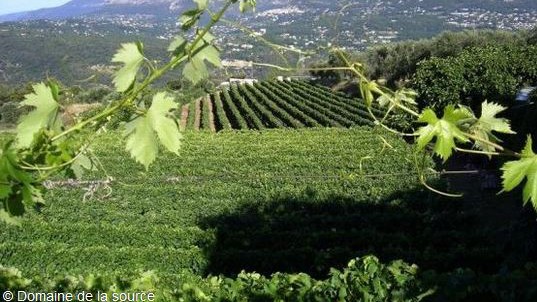 Nice - Domaine de la Source 